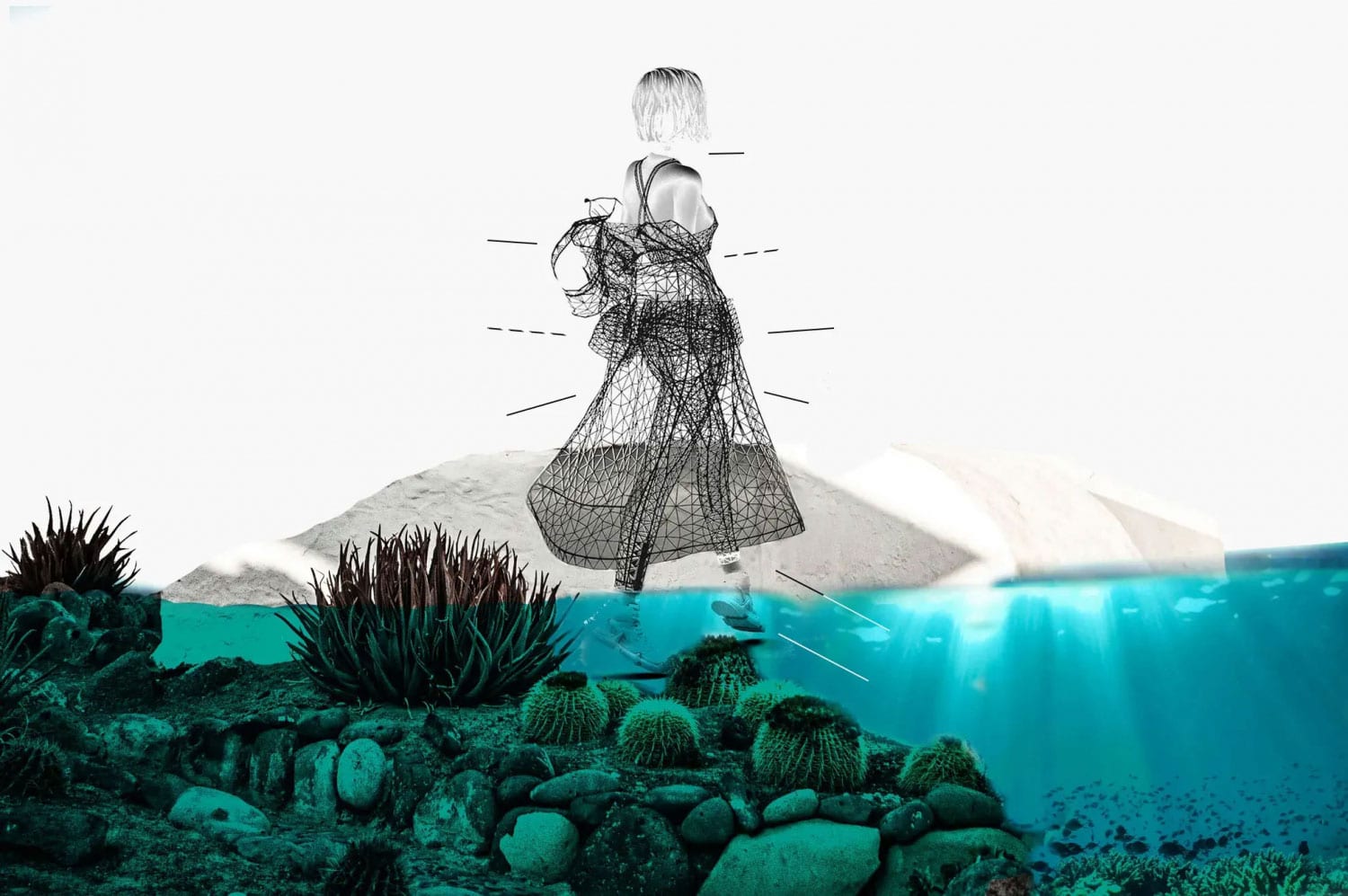 sustainability image